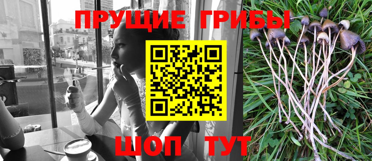 Галлюциногенные грибы MAGIC MUSHROOMS  Вход с VPN  Гулькевичи  Галлюциногенные грибы MAGIC MUSHROOMS 