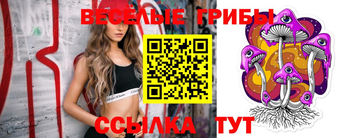 Псилоцибиновые грибы мицелий Гулькевичи