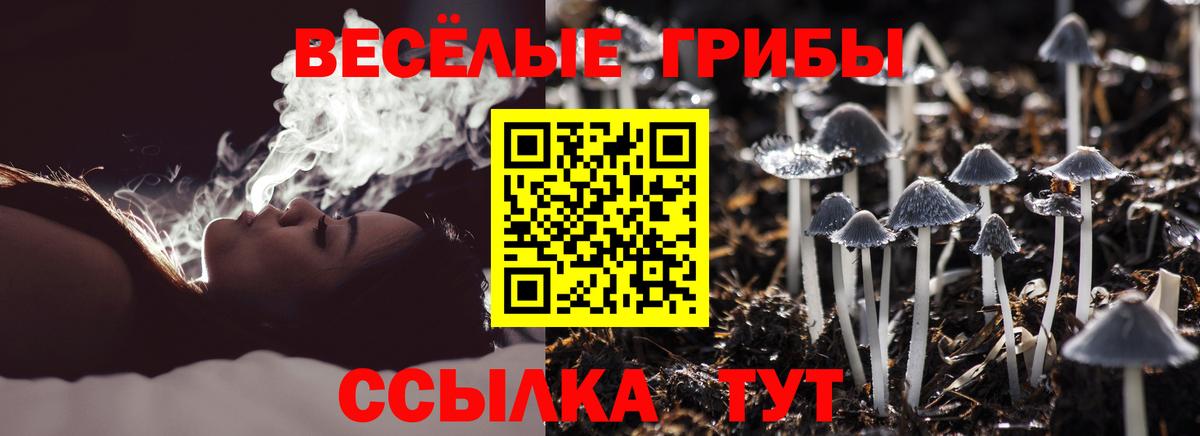 Галлюциногенные грибы Magic Shrooms Гулькевичи